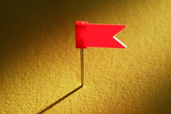 Can You See These Red Flags In Your Business?