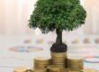 Ethical Investing Is It For You