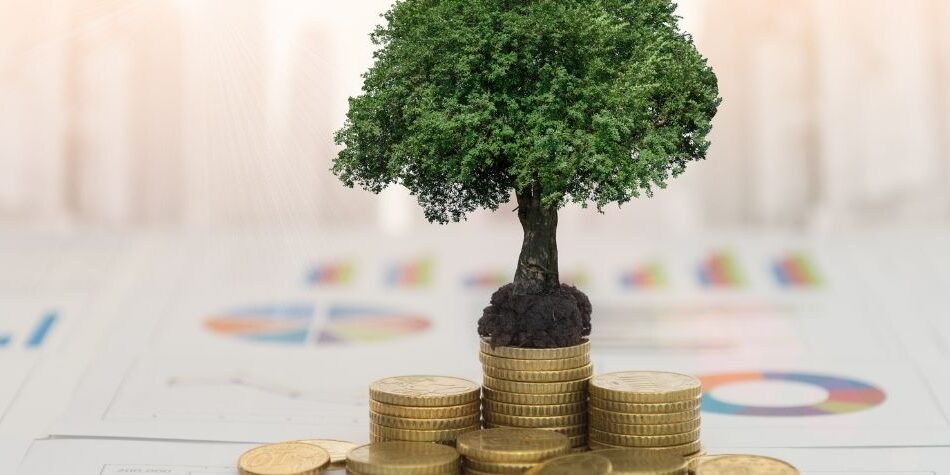 Ethical Investing Is It For You Ethical Investing Is It For You