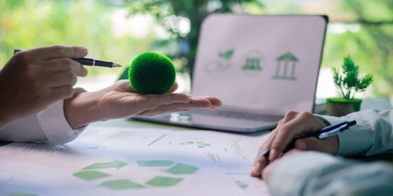 How To Adopt Sustainable Business Practices