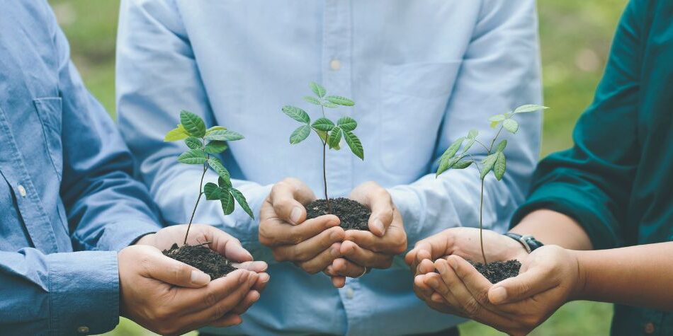 Understanding Ethical Investing in Superannuation Understanding Ethical Investing in Superannuation
