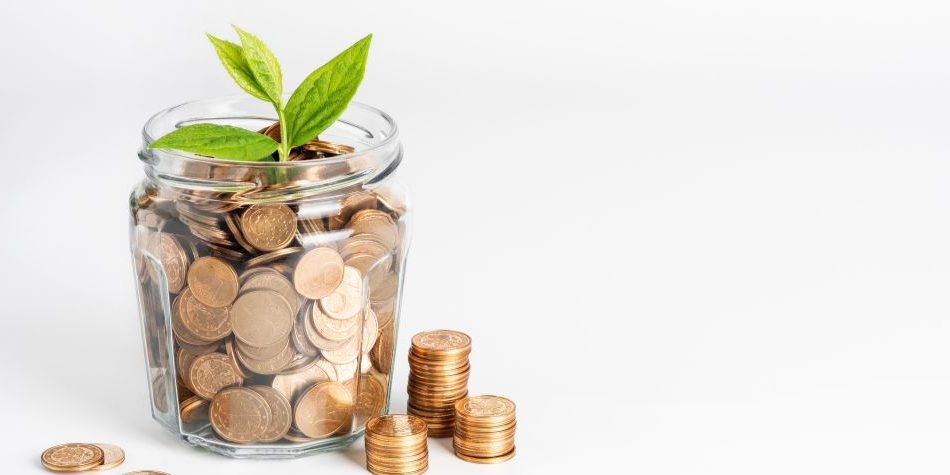 What Fund Type Works For You What Fund Type Works For You