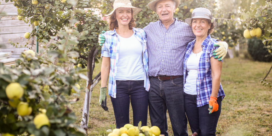 What You Need To Keep In Mind When Succession Planning For The Family Business What You Need To Keep In Mind When Succession Planning For The Family Business