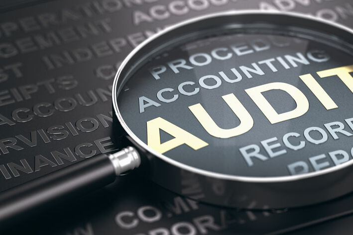 What do tax audits involve